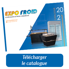 MINIATURE CATALOGUE EXPOFROID
